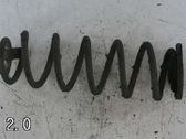 Rear coil spring