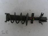 Front shock absorber with coil spring