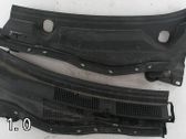 Moldura del limpia