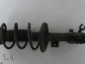 Front shock absorber with coil spring
