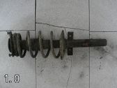 Amortiguador delantero con muelle espiral