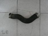 Manguera/tubo del intercooler
