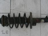 Amortiguador delantero con muelle espiral