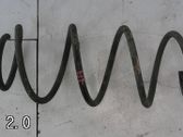Front coil spring