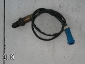 Lambdasonde Regelsonde