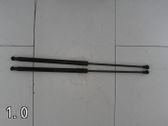 Amortiguador/puntal del maletero/compartimento de carga