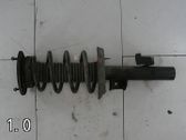 Front shock absorber with coil spring