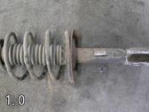 Front shock absorber with coil spring