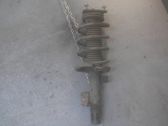 Front shock absorber with coil spring