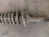 Rear shock absorber with coil spring