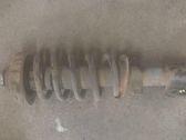 Front shock absorber with coil spring