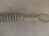 Front shock absorber with coil spring
