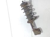 Front shock absorber with coil spring