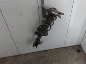 Rear shock absorber with coil spring