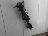 Rear shock absorber with coil spring