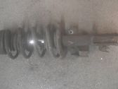 Front shock absorber with coil spring