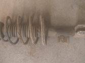 Front shock absorber with coil spring