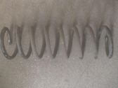 Muelle espiral trasero