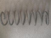 Muelle espiral trasero