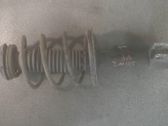 Front shock absorber with coil spring
