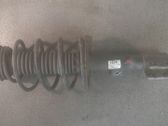 Front shock absorber with coil spring
