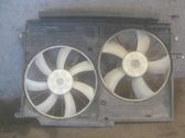 Electric radiator cooling fan