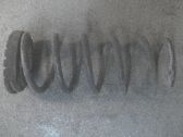 Feder hinten
