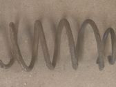 Front coil spring