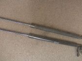 Tailgate/trunk strut/damper