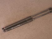 Amortiguador/puntal del maletero/compartimento de carga
