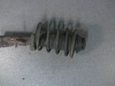 Amortiguador delantero con muelle espiral
