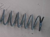 Feder hinten
