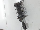Front shock absorber with coil spring