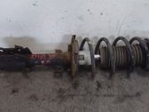 Front shock absorber with coil spring