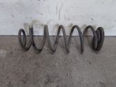 Rear coil spring