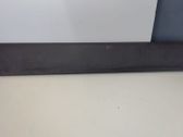 Front door trim (molding)