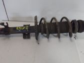 Amortiguador delantero con muelle espiral