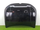 Motorhaube