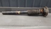 Front shock absorber/damper