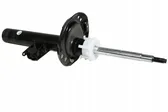 Front shock absorber/damper