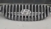 Front bumper upper radiator grill