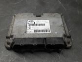 Engine control unit/module ECU