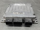 Engine control unit/module ECU