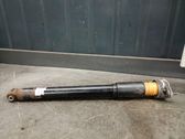Rear shock absorber/damper