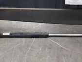 Tailgate strut