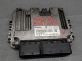 Engine control unit/module ECU