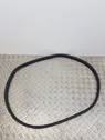 Rear door rubber seal (on body)