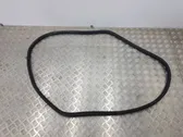 Front door rubber seal