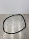 Rear door rubber seal (on body)