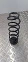 Rear coil spring